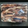Frozen Whole Round Squid Illex Argentinus
